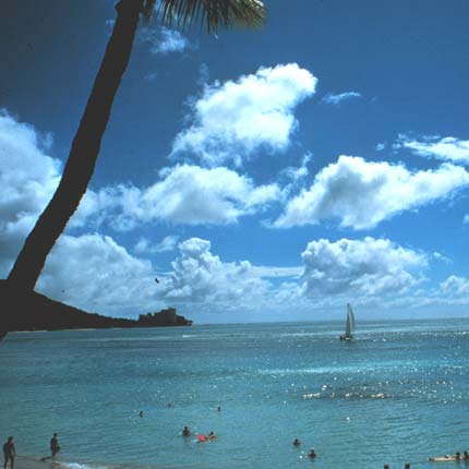 Separate white clouds with rounded tops over a blue sea.
